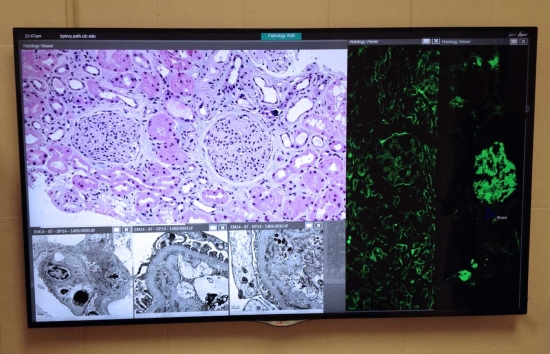 UIC_Pathology-Office