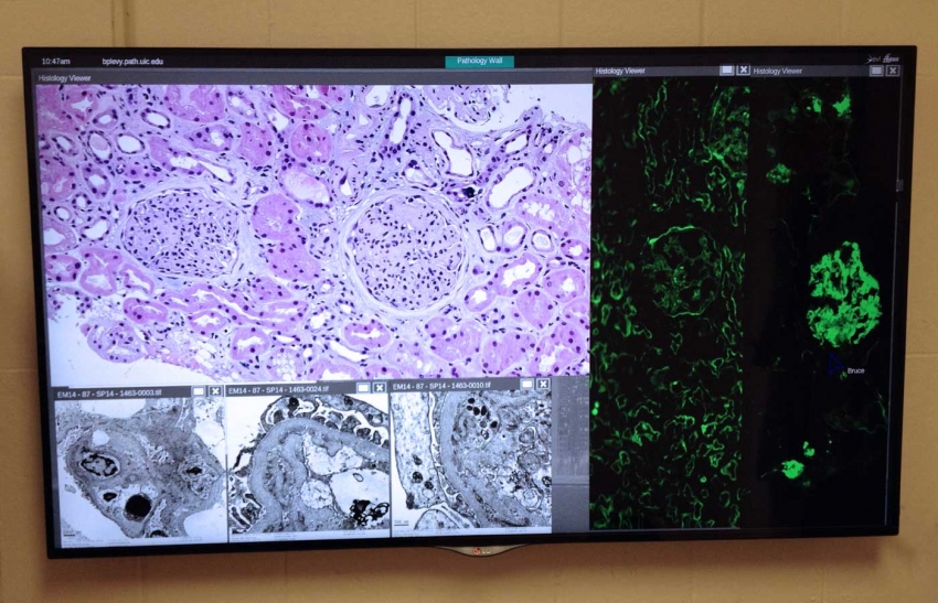 UIC_Pathology-Office