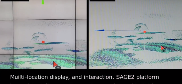 SAGE2 Distributed Point Cloud Viewer